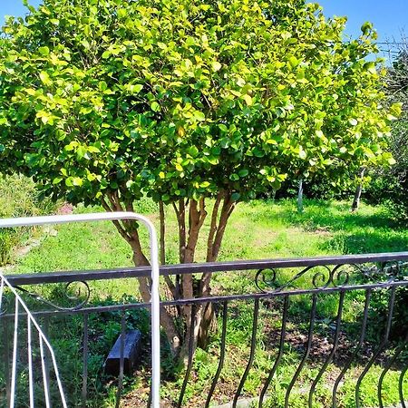 Maison Individuelle Padulella Sisco Esterno foto
